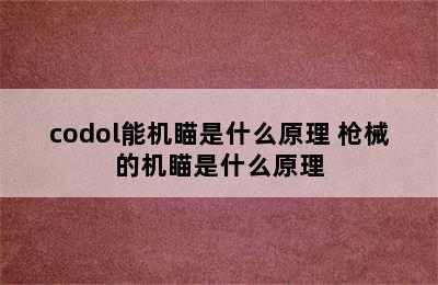 codol能机瞄是什么原理 枪械的机瞄是什么原理